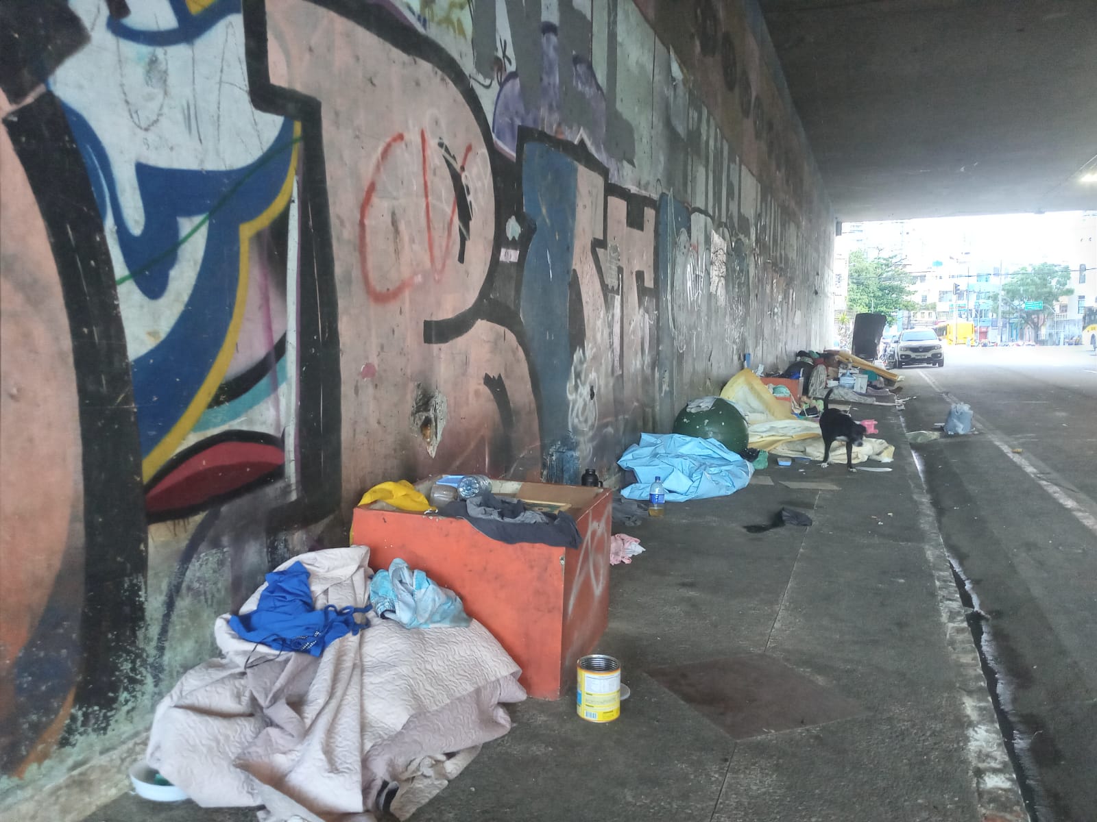 IMAGENS– Motiva Ação Social