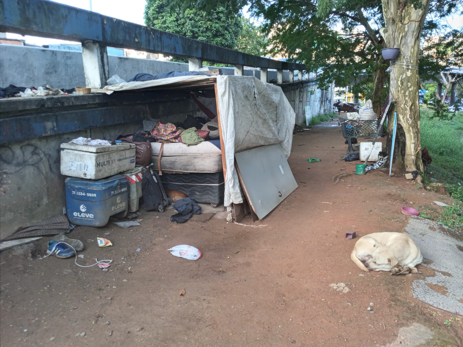 Imagem do WhatsApp de 2025-12-01 à(s) 10.38.34_4af5a11f